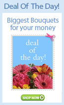 Send flowers to TX with Jo's Flowers and Gifts, your local TX  florist