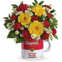 Campbell's® Healthy Wishes by Teleflora