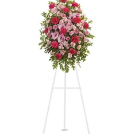Pink Tribute Spray