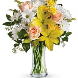 Teleflora's Daisies and Sunbeams