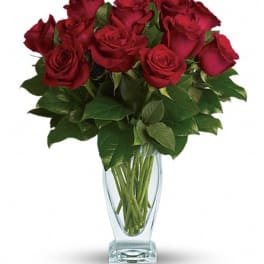 Teleflora's Rose Classique - Dozen Red Roses