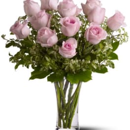 A Dozen Pink Roses