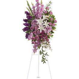 Sacred Garden Spray