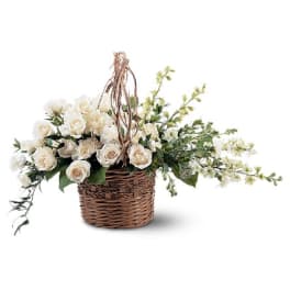 Basket of Light
