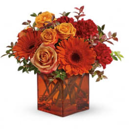 Teleflora's Sunrise Sunset
