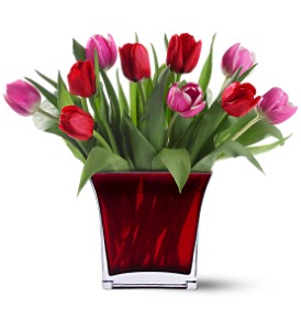 Teleflora's Tulips of Love Bouquet in Cibolo TX, Jo's Flowers and Gifts