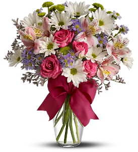 Pretty Please in Cibolo TX, Jo's Flowers and Gifts