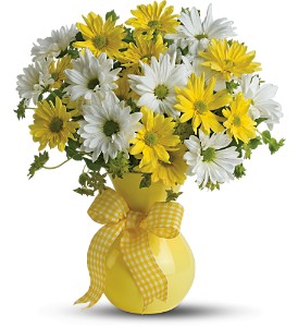 Teleflora's Upsy Daisy in Cibolo TX, Jo's Flowers and Gifts