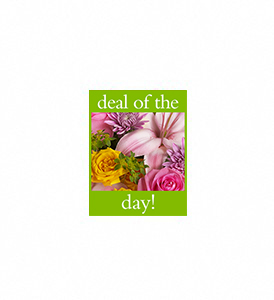 Deal of the Day Bouquet in Cibolo TX, Jo's Flowers and Gifts