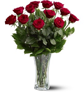 A Dozen Premium Red Roses in Cibolo TX, Jo's Flowers and Gifts