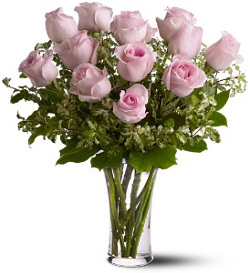 A Dozen Pink Roses in Cibolo TX, Jo's Flowers and Gifts
