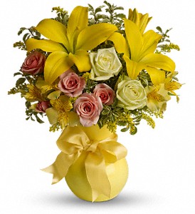 Teleflora's Sunny Smiles in Cibolo TX, Jo's Flowers and Gifts