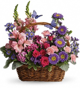 Country Basket Blooms in Cibolo TX, Jo's Flowers and Gifts