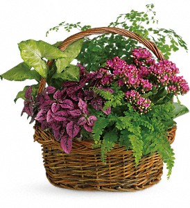 Secret Garden Basket in Cibolo TX, Jo's Flowers and Gifts