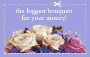 Send flowers to Cibolo, TX with Jo's Flowers and Gifts, your local Ciboloflorist