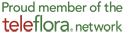 Teleflora Flowers Network
